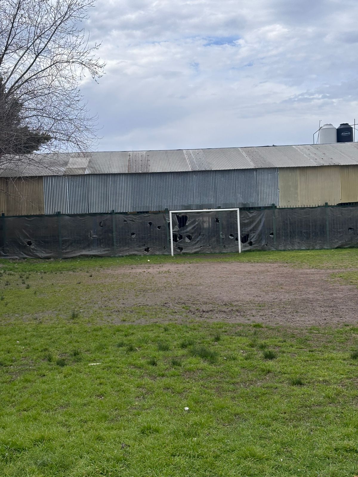 Cancha de pasto